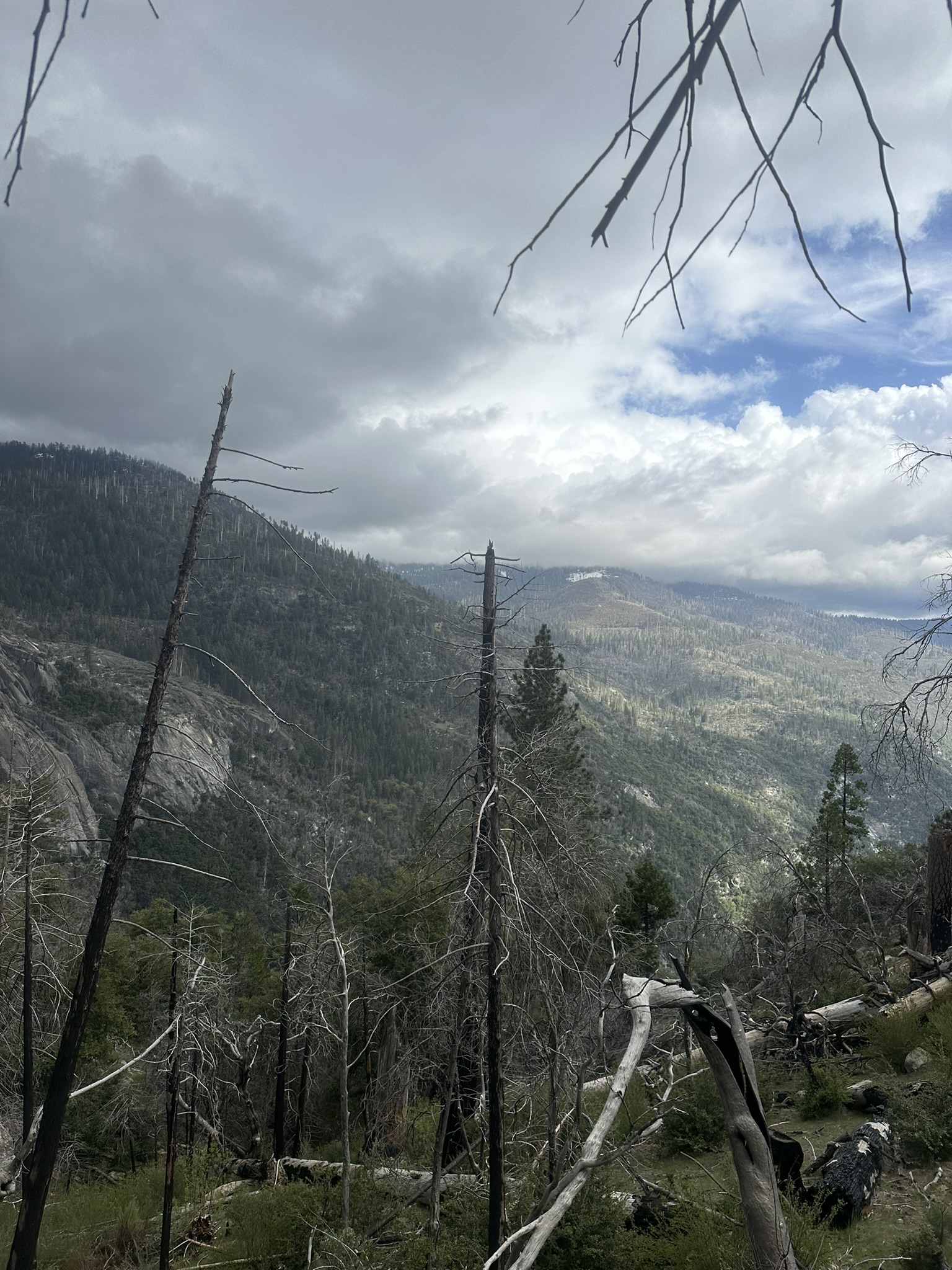 United States-National Parks-Other - Image 145